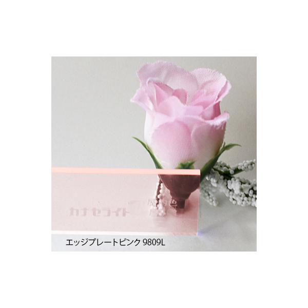 �A�N������ �J�i�Z���C�g �J���[ �G�b�W�v���[�g�s���N9809L(�L���X�g)��(3�~��)450×600