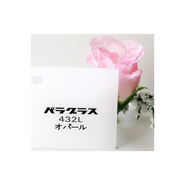 �A�N������ ���� �p���O���X432L �I�p�[��(�L���X�g)��(3�~��)600×910