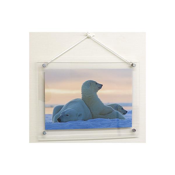 |X^[pl(B-2) (4+3~) S(595×808)Lbv(20~) R: Lbv:Vo[