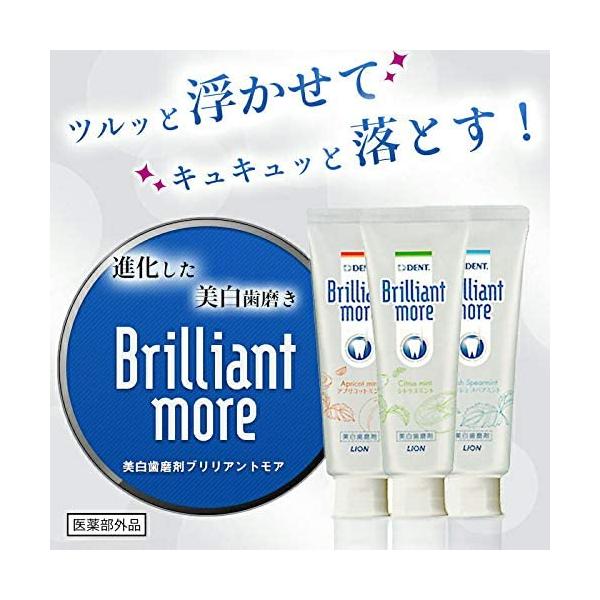 ブリリアントモア 2本 みんな探してる人気モノ ブリリアントモア 2本 ダイエット 健康