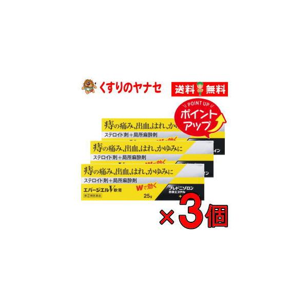 【メール便対応】エバージエルＶ軟膏　25g／【指定第2類医薬品】