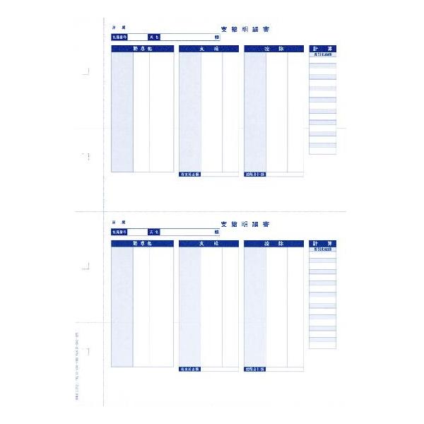 OBC sTvC 6252 P[px׏ 300 600 5202pi ^s