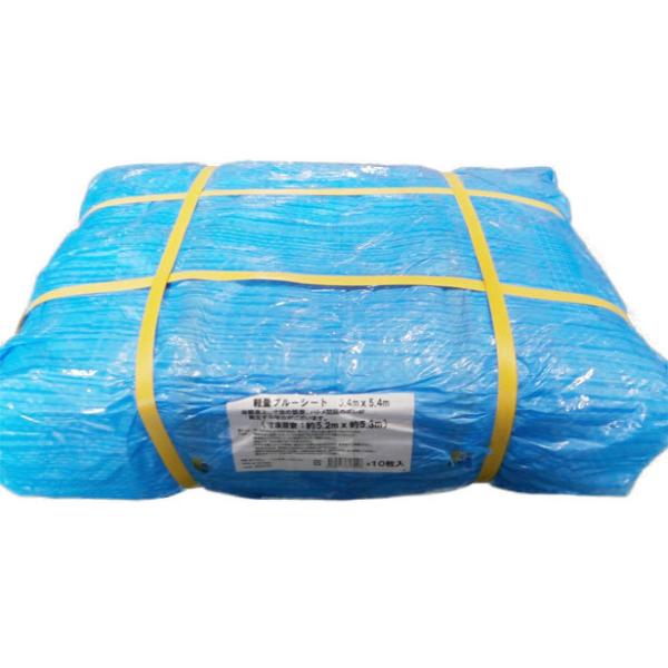 yʃu[V[g 5.4×5.4m 1P[X(10) BL5454 GXGXY [W[V[g J ЊQ ⋭ Lv  |] 