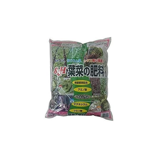 t؂̔엿 2kg TAhz[v [엿 | |pi] 