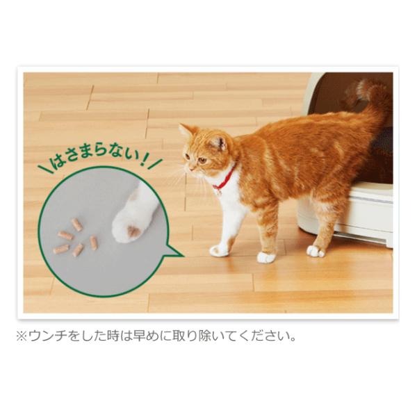 hc7_4901070575077-1cs_5_d_20240707090446