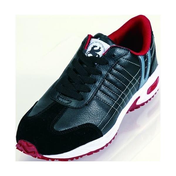 SXj[J[ ubN 25.5cm #206 R[RXM [SC  C Z[teB V[Y [LOV[Y] 