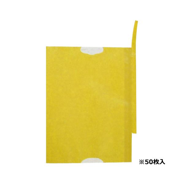 ʎ܃iV K-12 50}CC F{X [|pi _Ǝ npi] 