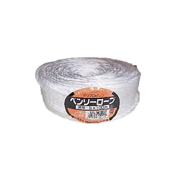 mizuki ロープロ版 roBa 組立済み完成品 販売終了】新入部員みずきちゃん パッケージ版 (for X68000 Z