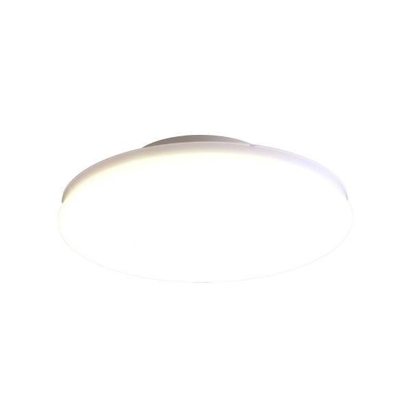 ^V[OCg ` 2000lm dF SCL20L-UU ACXI[} [LEDƖ Hsv ʏ Eߏ L CeA] 