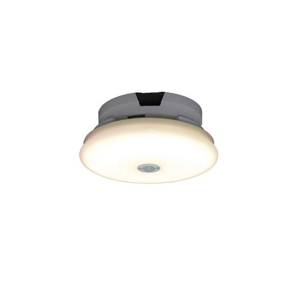 ^V[OCg ` 600lm lZT[t dF SCL6LMS-UU ACXI[} [LEDƖ Hsv ʏ Eߏ L CeA] 