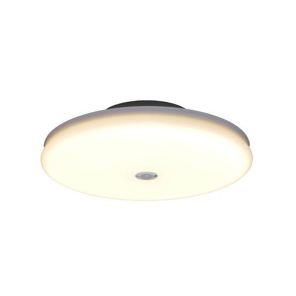 ^V[OCg ` 2000lm lZT[t dF SCL20LMS-UU ACXI[} [LEDƖ Hsv ʏ Eߏ L CeA] 