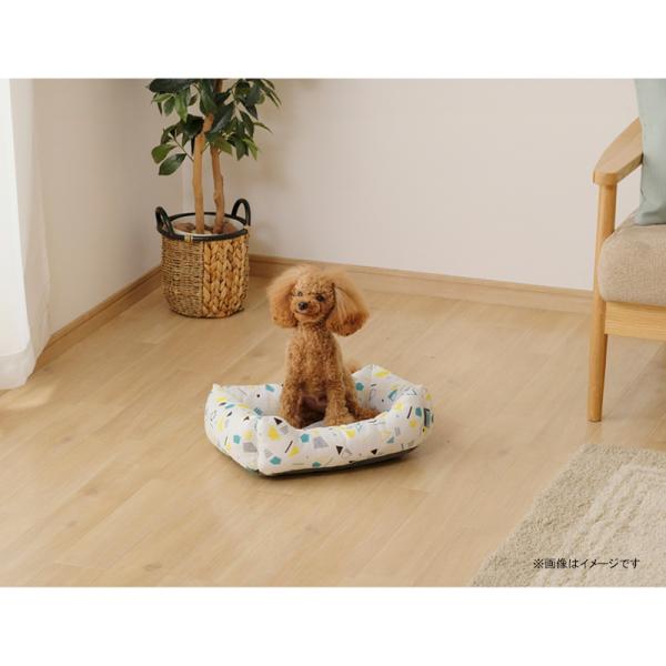 hc7_4967576609678_1_d_20260325174822