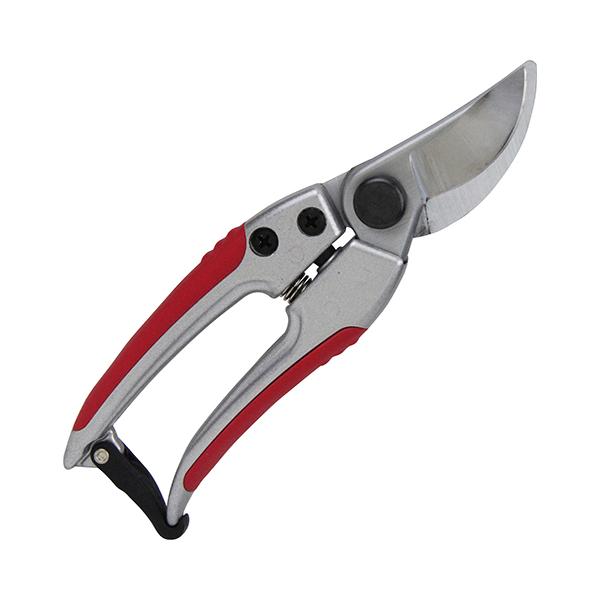 ₷  g SGP-51 Y [ |  ] 