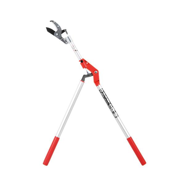 Ar^} 1.0M SGLP-6 Y [|  ] 