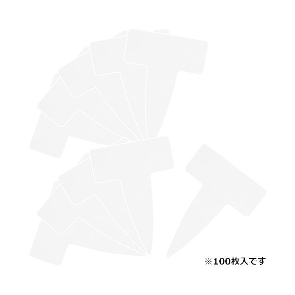 |px T^100 `E Y [|pi |_Ǝ x] 