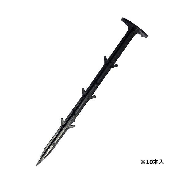 V[g 10P 21cm Y [ |pi |_Ǝ сEՌlbg] 