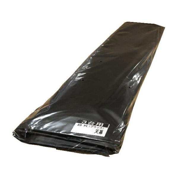 TCNnEX V 3p-BK hH [K[W ւp Ԍ ] ȈՑq oCN] 