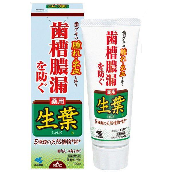 t(傤悤) ^Rh pn~KL n[u~g 100 ѐ [t  ݂ L\h ] 