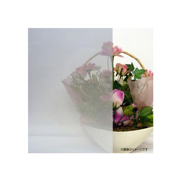 Ԃ̃vCoV[ی쑋\V[g 46x90cm gp-4683-sl ( ډB UVO99%Jbg vCoV[ی aOrA) 