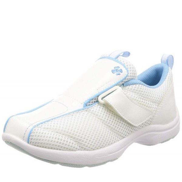 [X^[ i[XV[Y 508 u[ 22.5cm 2E  [Xj[J[ Ō  a@ fB[X C] 