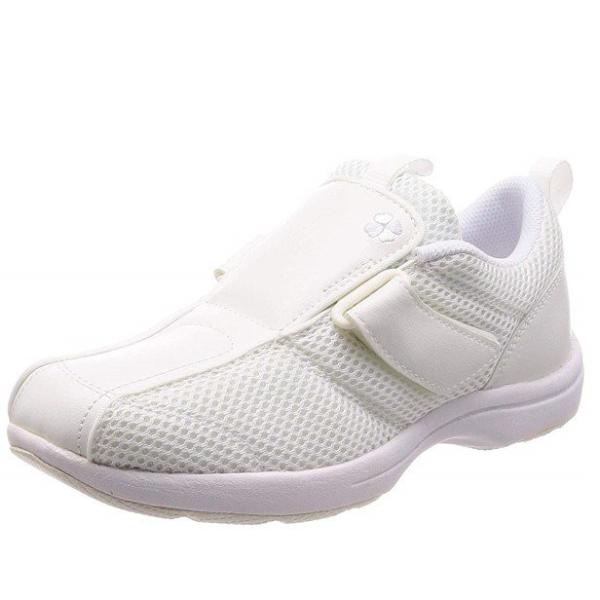 [X^[ i[XV[Y 508 zCg 22.5cm 2E  [Xj[J[ Ō  a@ fB[X C] 