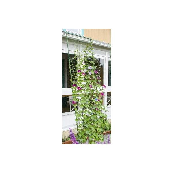 ΂̃J[e@RLkChWOO&lt;BR&gt;Lk|^Cv