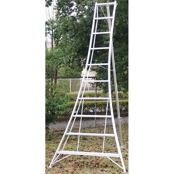 ALINCO（アルインコ） （メーカー直送）アルインコ アルミ園芸三脚