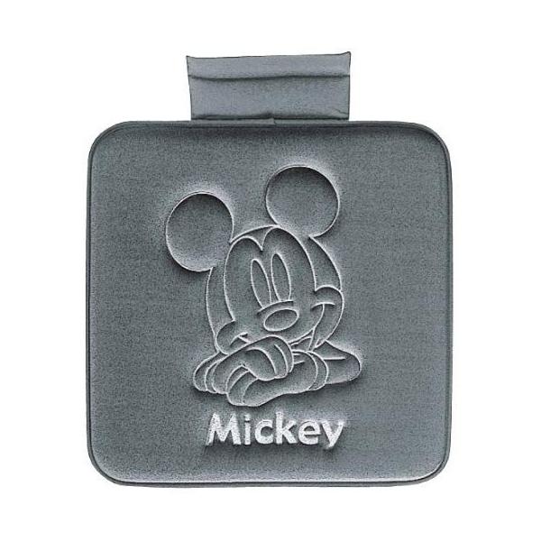 {tH[ 5590-02GR  NbV ~bL[ p^@ 45X45cm yʎԗp @O[