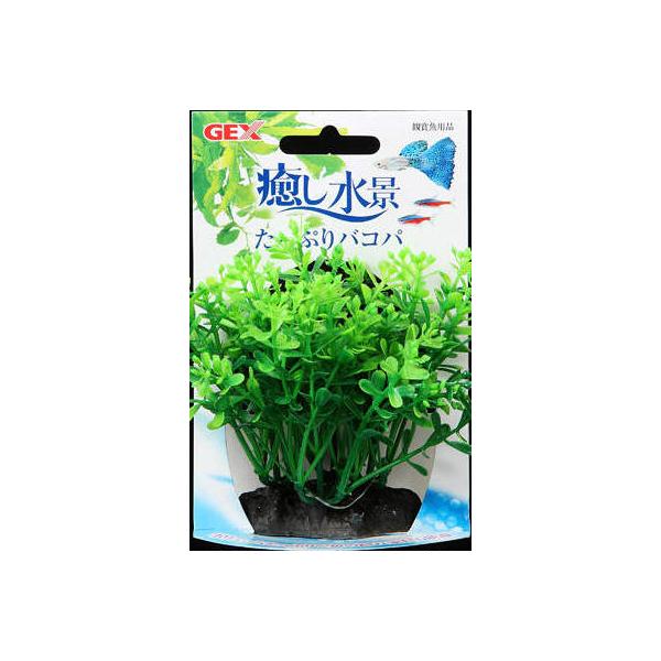 訳あり 癒し水景 たっぷりバコパ 水槽用品 水草 ジェックス