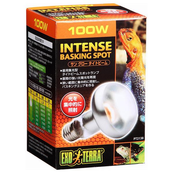 WFbNX GEX TO[^Cg100W Ɩ