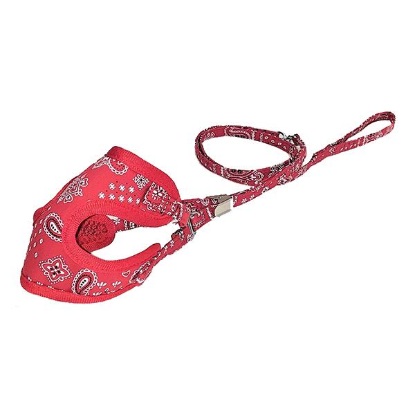 yCY[\tgn[lX[h3S bh 1{ pRA 쐻쏊