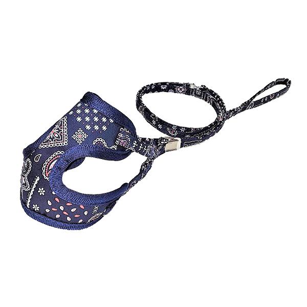 yCY[\tgn[lX[h3S lCr[ 1{ pRA 쐻쏊