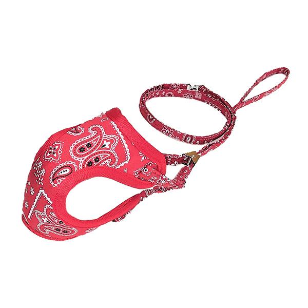 yCY[\tgn[lX[hSS bh 1{ pRA 쐻쏊