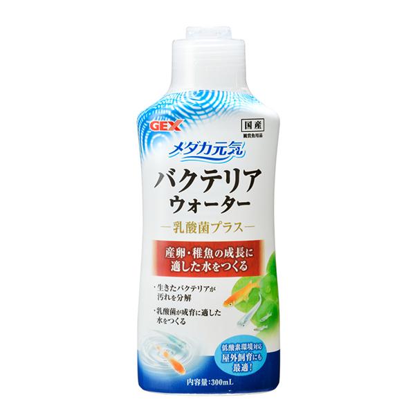 _JCoNeAEH[^[300mL pi WFbNX iRpNg։j