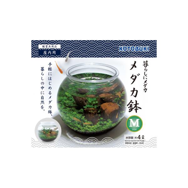 _Jl Ϗ܋p H|iX܎̂݁j