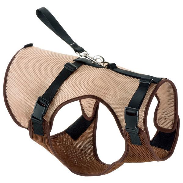 󂠂 b`F Richell hCuxXgn[lXXL uE