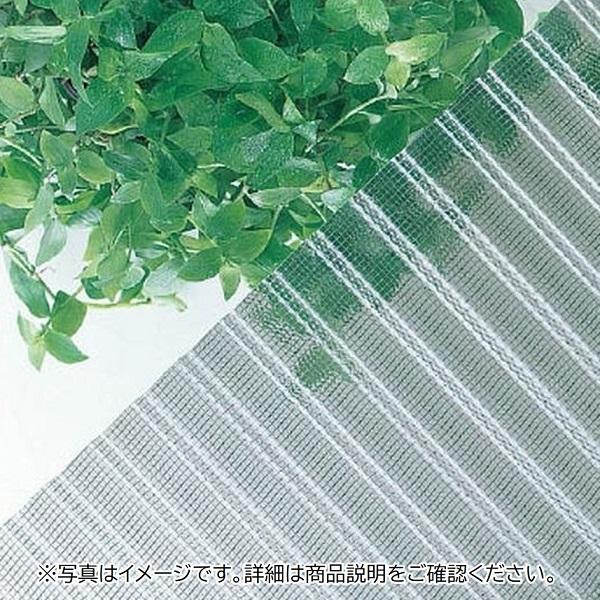 ヒシ波ガラスネット　９尺　ブロンズ 幅（約）６５５×長さ（約）２７３０ｍｍ (店舗受取のみ)