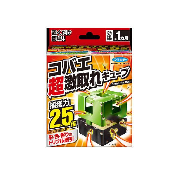 t}L[ RoGL[u P sQE t}L[