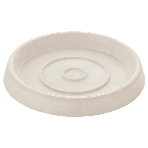 b`F Richell {^j[ v[g 12^ zCg M vX`bN ₷ ɂ y (RpNg։)