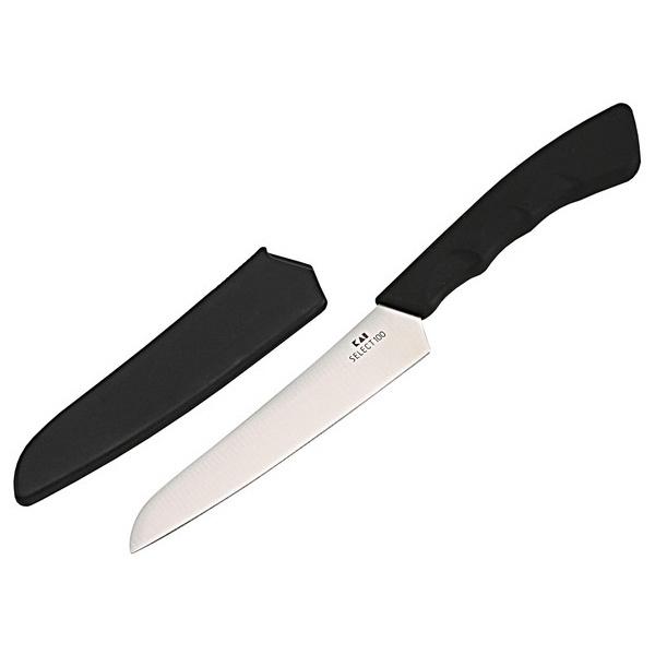 L ZNg100 t[ciCt 000DH3014