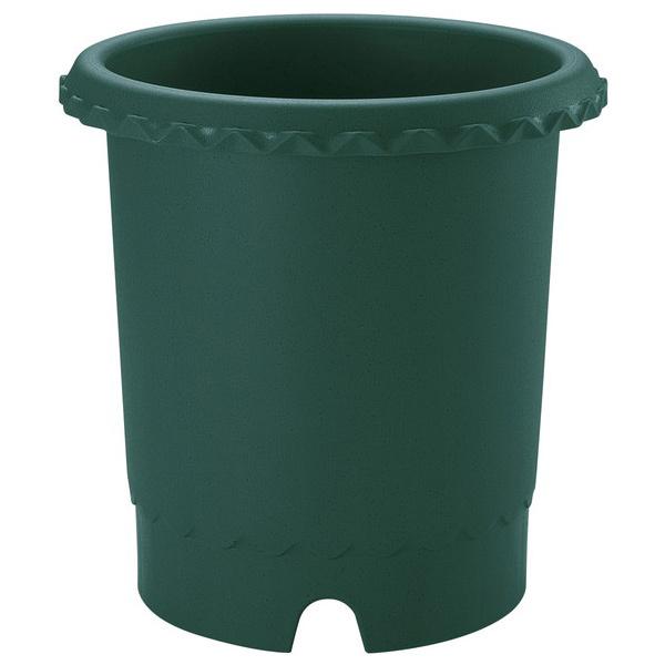 b`F Richell o 10 _[NO[ | v^[  |vs