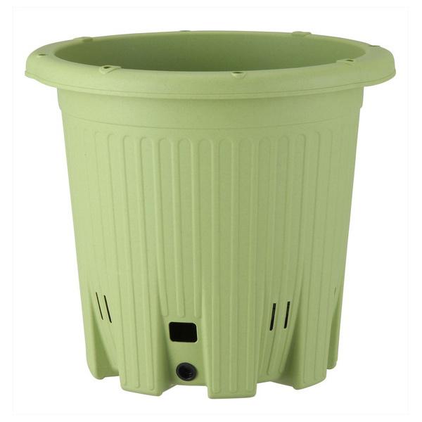 AbvEFA[ apple yX؉ی^380xpt[tT_O[ 380