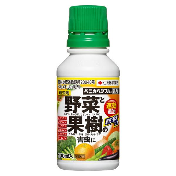 ZFw| xjJxWt 100ml (RpNg։)