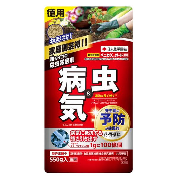 ZFw| xjJXK[h 550g (RpNg։)