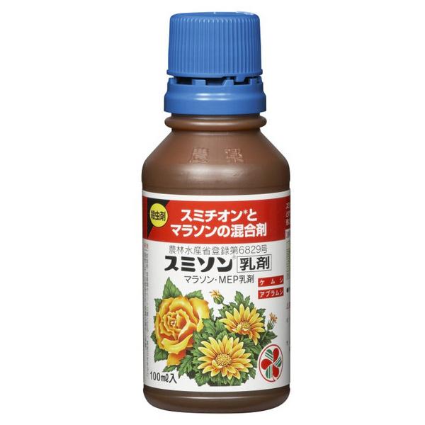 ZFw| X~\ 100ml (RpNg։)