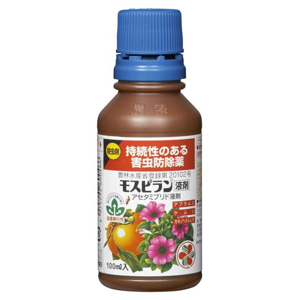 ZFw| Xst 100ml (RpNg։)