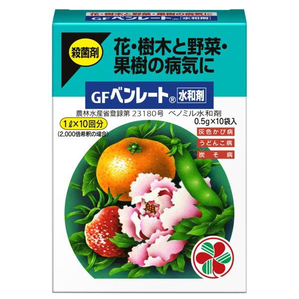 ZFw| x[ga 0.5gx10 (RpNg։)