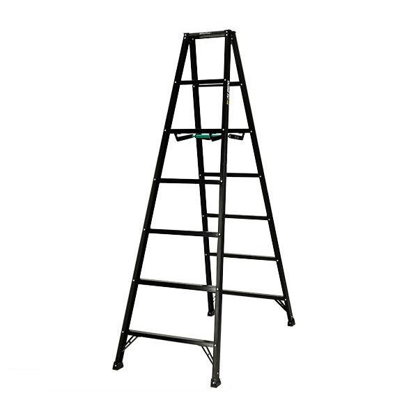 �A���C���R ALINCO �y�ʐ�p�r���i�V�G���u���b�N�j BS210FX ���y�� �R���p�N�g���[ [���[�J�[����]