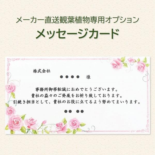 コメントカード メッセージカード （メーカー直送観葉植物専用オプション） card