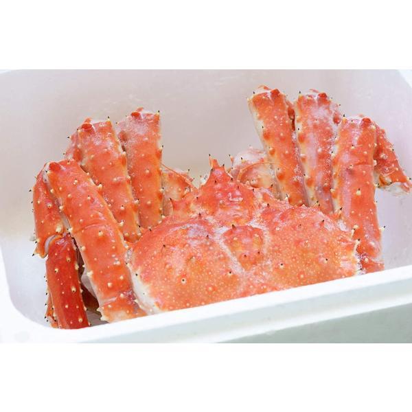 タラバガニ姿　3.5キロ　ボイル冷凍 北海道産 タラバガニ 姿 1尾 3.5kg（冷凍） カニ 蟹 タラバガニ